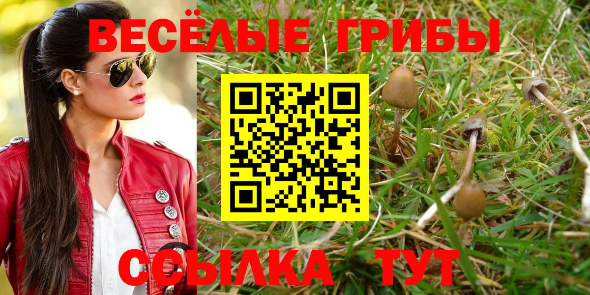 Псилоцибиновые грибы ЛСД Ахтубинск
