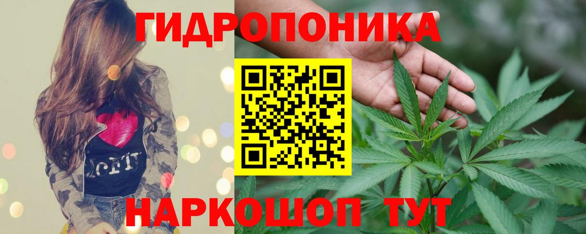 Марихуана OG Kush  Вход с VPN  МАРИХУАНА ГИДРОПОН  Ахтубинск  Бошки марихуана Ganja 
